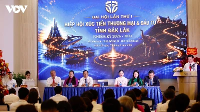 Dak Lak launches trade and investment promotion association