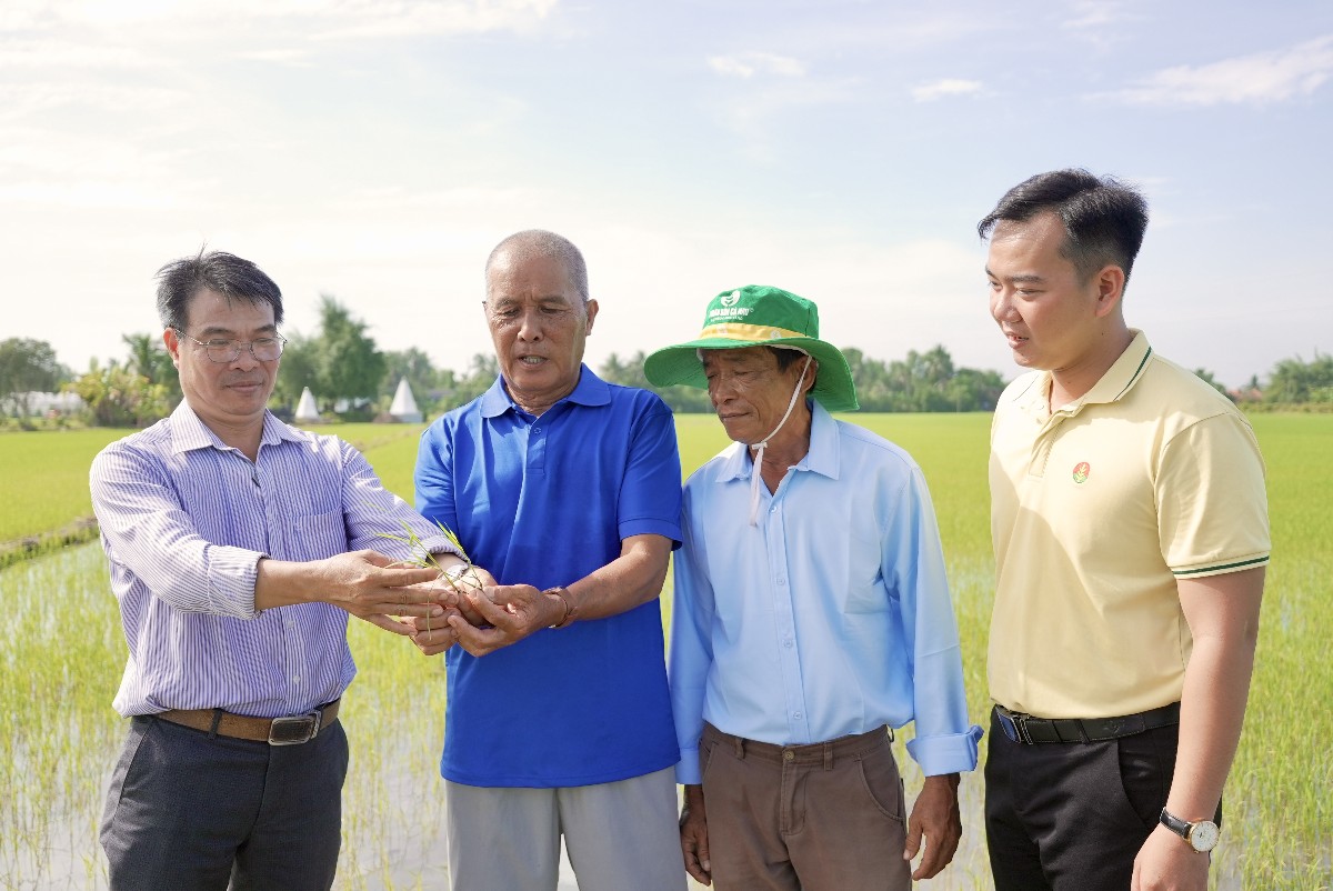 Những bí kíp vàng từ Phân bón Cà Mau giúp bà con canh tác bền vững, thịnh vượng.