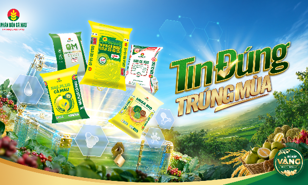 Phân bón Cà Mau khởi động bí kíp vàng: Tin đúng - Trúng mùa