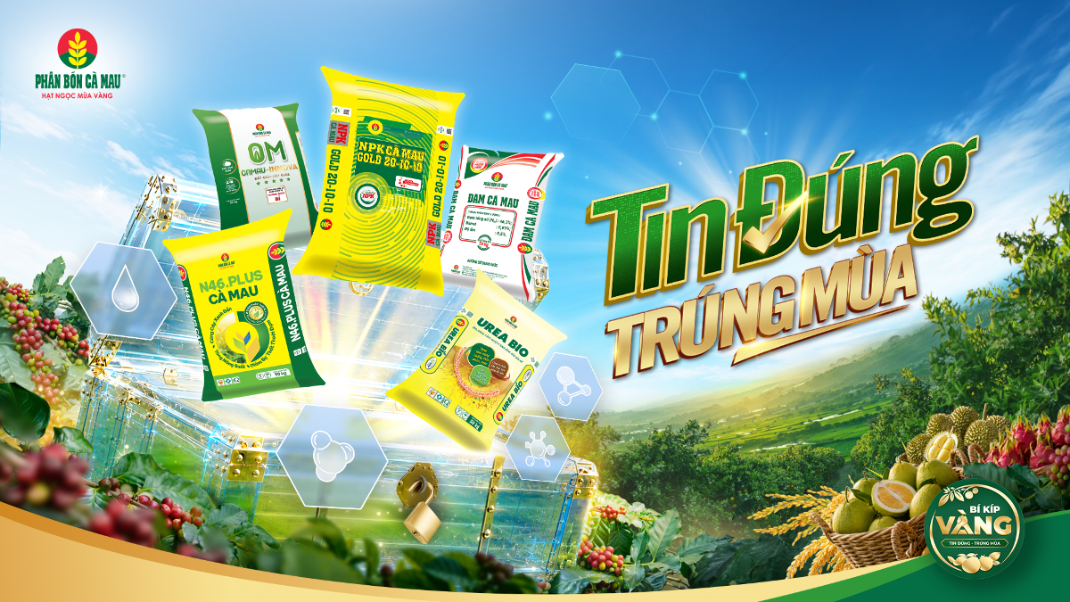 Bí kíp vàng năm nay – Tin đúng, Trúng mùa đã chính thức khới động.
