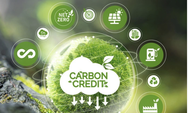 Chuẩn bị khai trương sàn giao dịch carbon trong nước