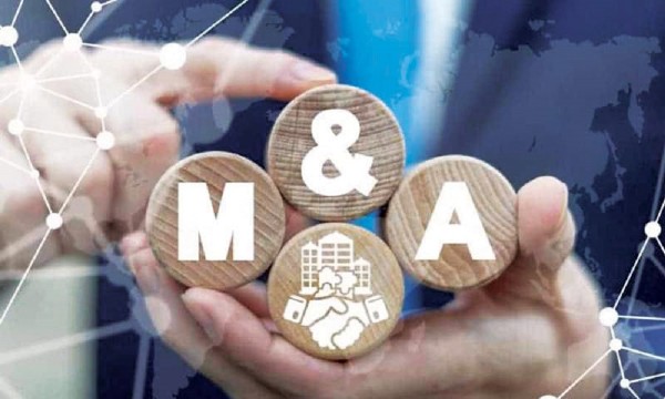 Doanh nghiệp Việt muốn lớn phải thay đổi tư duy và đẩy mạnh M&A