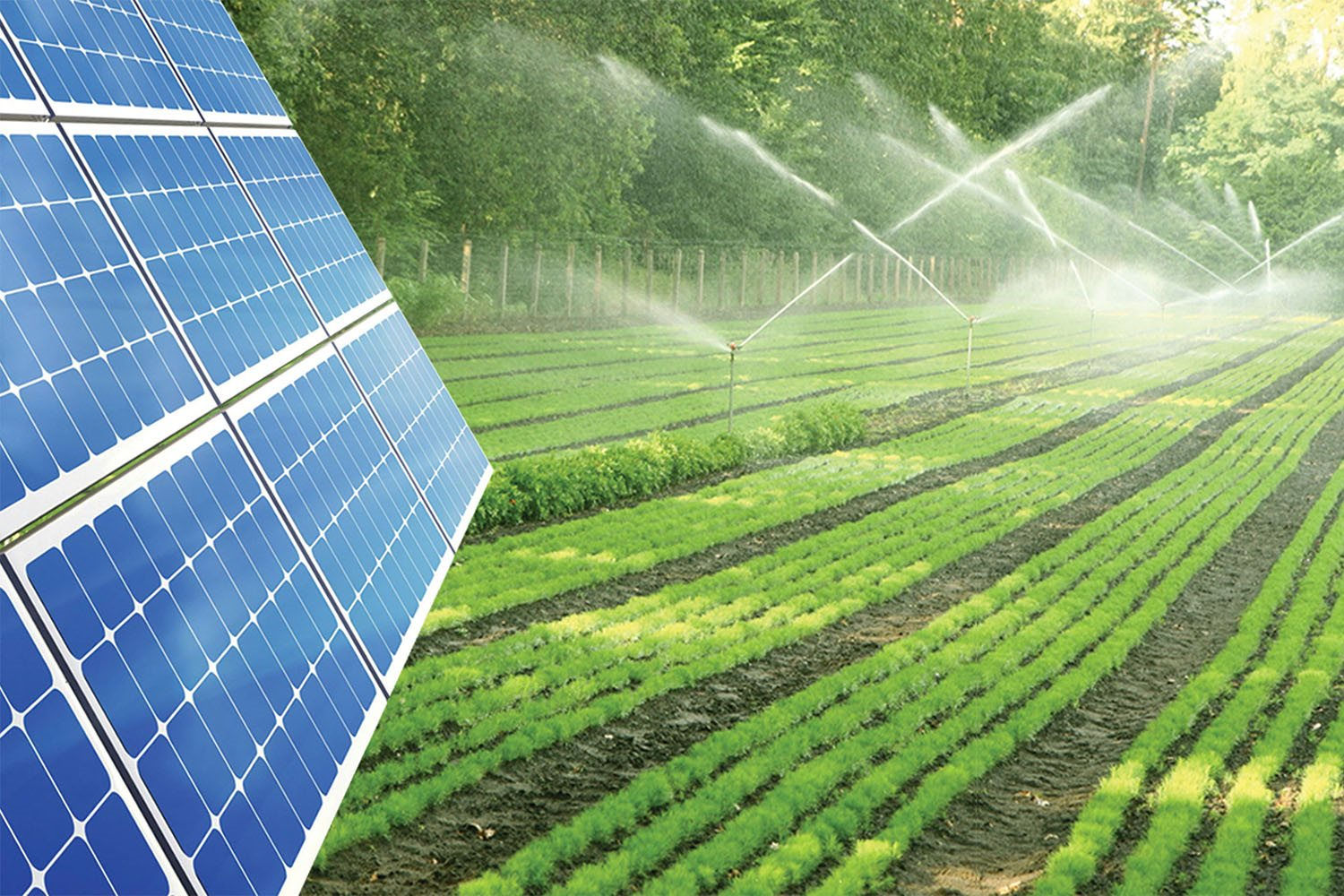Các thị trường tài chính ngày càng siết chặt yêu cầu về minh bạch ESG. Ảnh minh họa