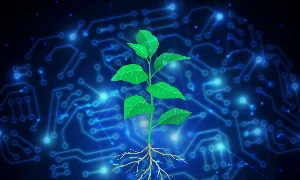 Các quỹ đầu tư ngày càng chú trọng tới khả năng quản trị rủi ro khí hậu, dấu chân carbon và chiến lược giảm phát thải của doanh nghiệp. Ảnh minh họa