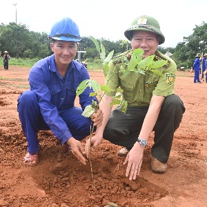 Trồng cây tại Gia Lai