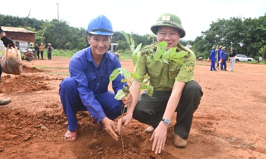 Trồng cây tại Gia Lai