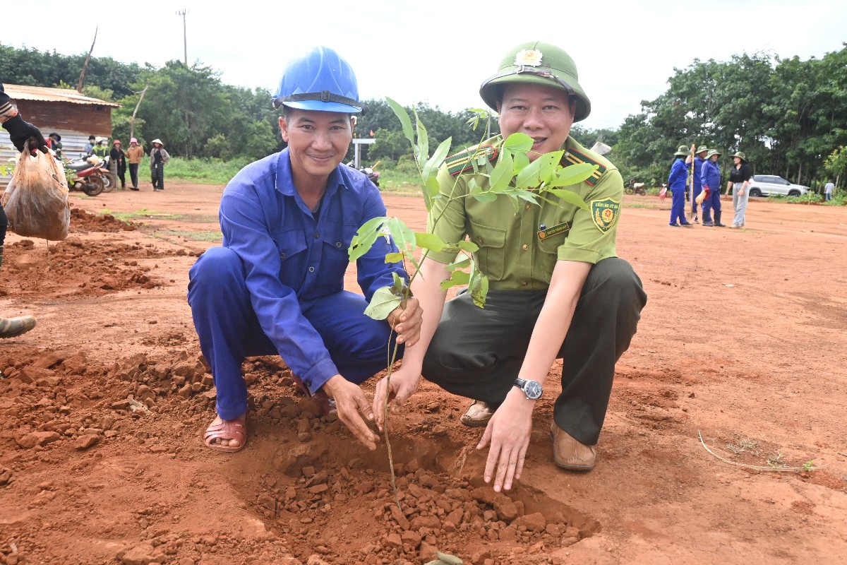 Trồng cây tại Gia Lai