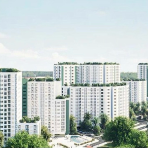 Phối cảnh Dự án nhà ở xã hội thuộc dự án Ecohome Hòa Hiệp.