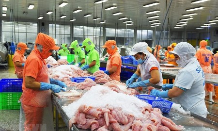 Argentina thay đổi lớn về hải quan và ngoại hối: Cơ hội cho doanh nghiệp Việt Nam