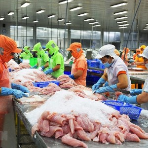 Xuất khẩu Việt Nam có nhiều cơ hội tại thị trường Argentina. Ảnh minh họa.
