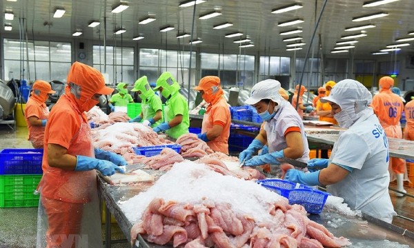Argentina thay đổi lớn về hải quan và ngoại hối: Cơ hội cho doanh nghiệp Việt Nam