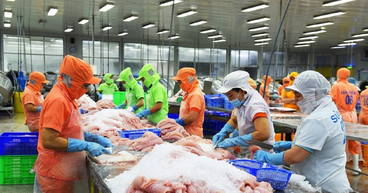 Argentina thay đổi lớn về hải quan và ngoại hối: Cơ hội cho doanh nghiệp