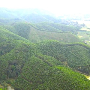 Hơn 200.000 ha rừng tại Hà Tĩnh được hưởng chính sách chi trả giảm phát thải khí nhà kính từ rừng