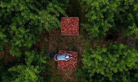 Nắng nóng cực đoan đe dọa hàng triệu việc làm, tạo áp lực mới lên kinh tế châu Âu