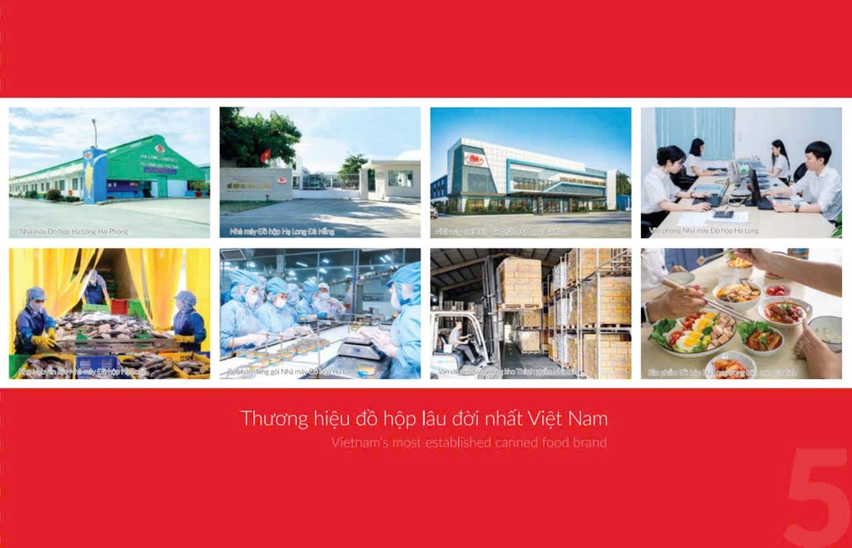 Hệ thống nhà máy, dây chuyền sản xuất và kho bảo quản của Công ty được rà soát, củng cố trước khi tái triển khai hoạt động sản xuất. Ảnh: Halong Canfoco.