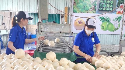 Vietnamese coconuts set to solidify leading position in Taiwan (China)