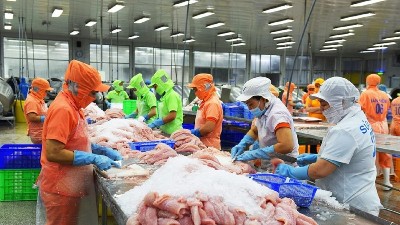 Argentina’s customs and forex reforms: new opportunities for Vietnamese businesses