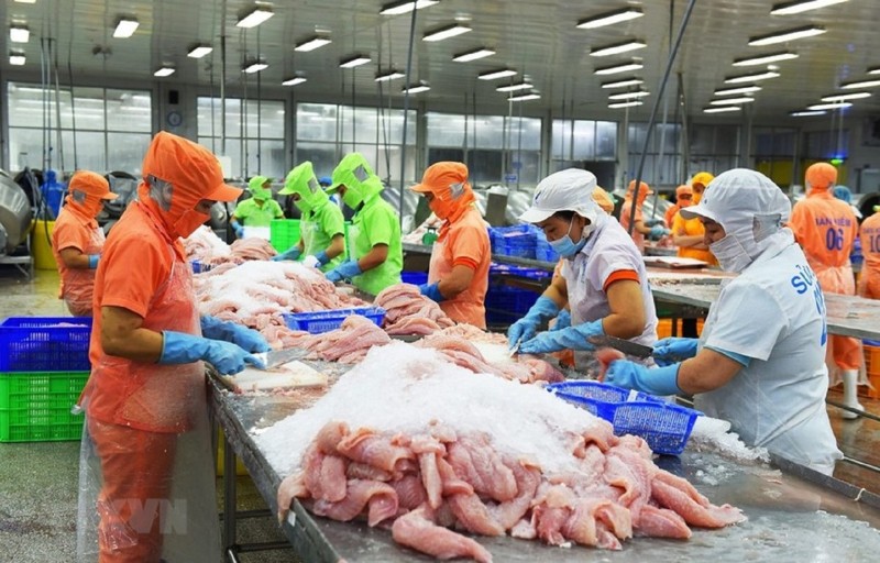 Argentina’s customs and forex reforms: new opportunities for Vietnamese businesses