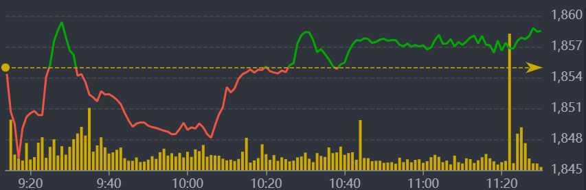 Diễn biến VN-Index sáng nay.