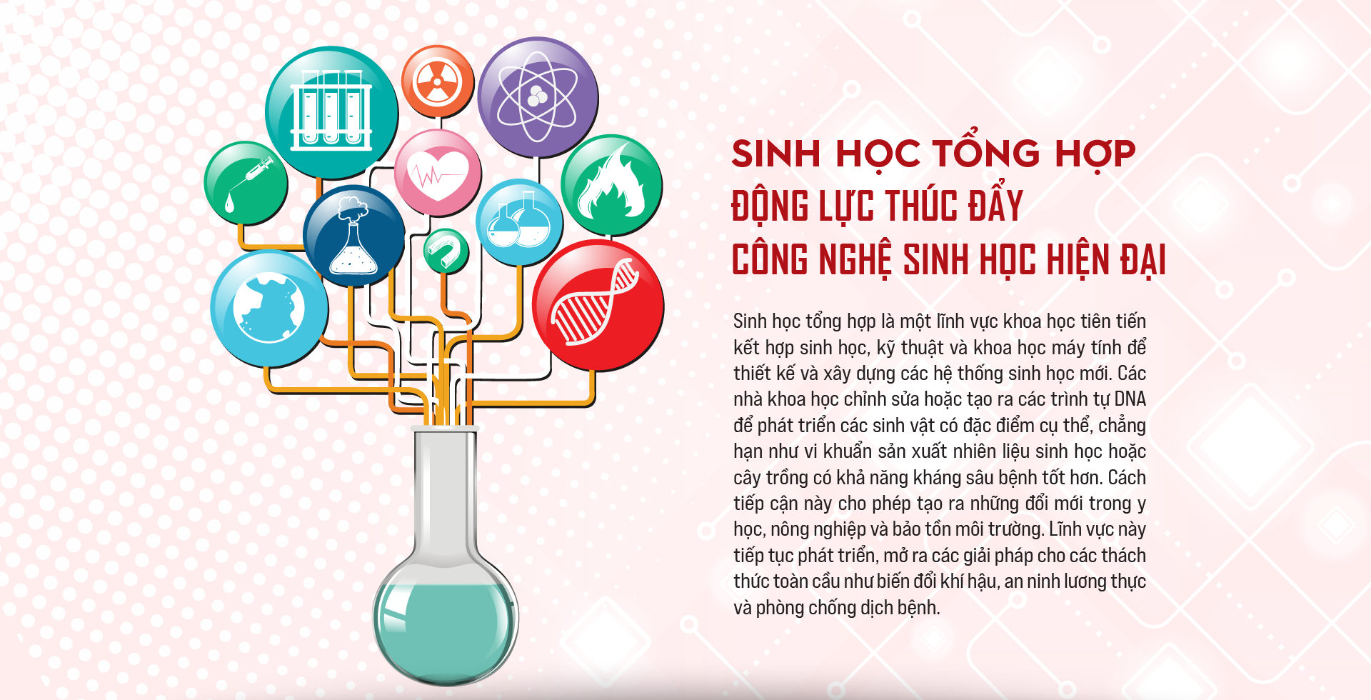 VnEconomy