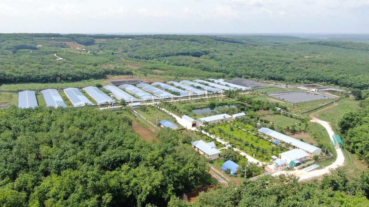 Mô hình Smart Farm của C.P. Việt Nam ứng dụng công nghệ trong quản lý môi trường chăn nuôi và giám sát sức khỏe đàn vật nuôi. Ảnh: C.P. Việt Nam.