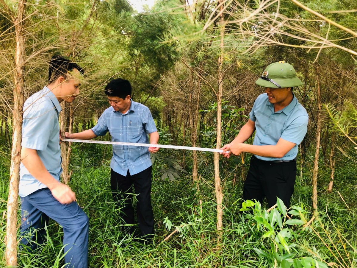 Nguồn kinh phí từ chi trả giảm phát thải góp phần nâng cao hiệu quả công tác quản lý, bảo vệ và phát triển rừng tại Hà Tĩnh