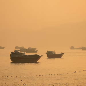 Ảnh minh họa - Ảnh: Reuters