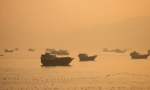 Ảnh minh họa - Ảnh: Reuters