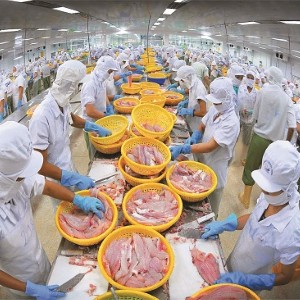 Xuất khẩu thuỷ sản 6 tháng đầu năm 2026 tăng 12,8% so với cùng kỳ năm trước. Ảnh minh họa.