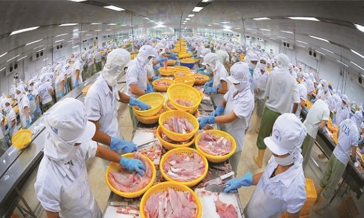 Xuất khẩu thuỷ sản 6 tháng đầu năm 2026 tăng 12,8% so với cùng kỳ năm trước. Ảnh minh họa.