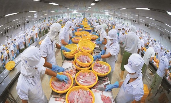 Xuất khẩu thủy sản nửa đầu năm tăng trưởng 2 con số