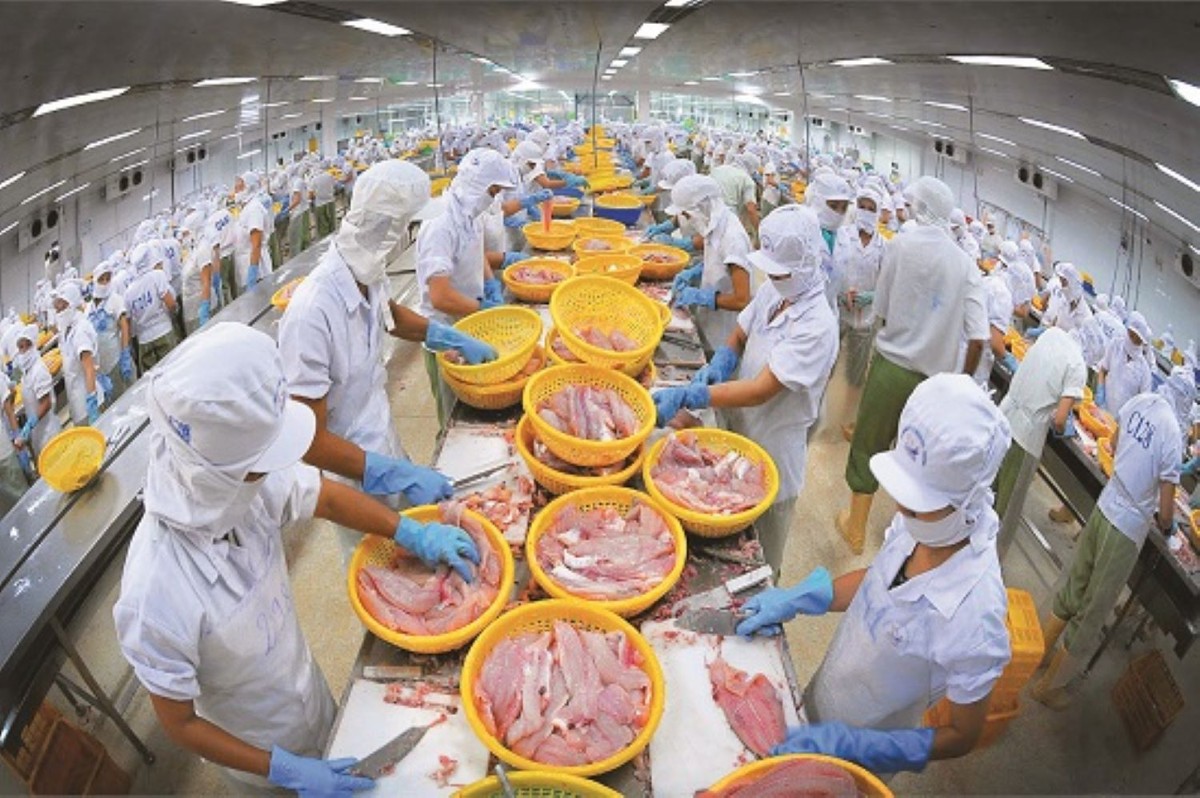 Xuất khẩu thủy sản nửa đầu năm tăng trưởng 2 con số