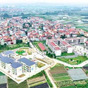 Ảnh minh họa.