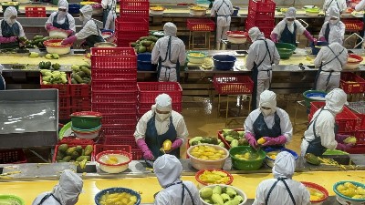 Vietnam's agro-forestry-fishery exports reach $35.9 billion in 1H