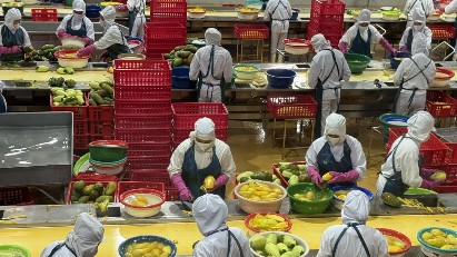 Vietnam's agro-forestry-fishery exports reach $35.9 billion in 1H