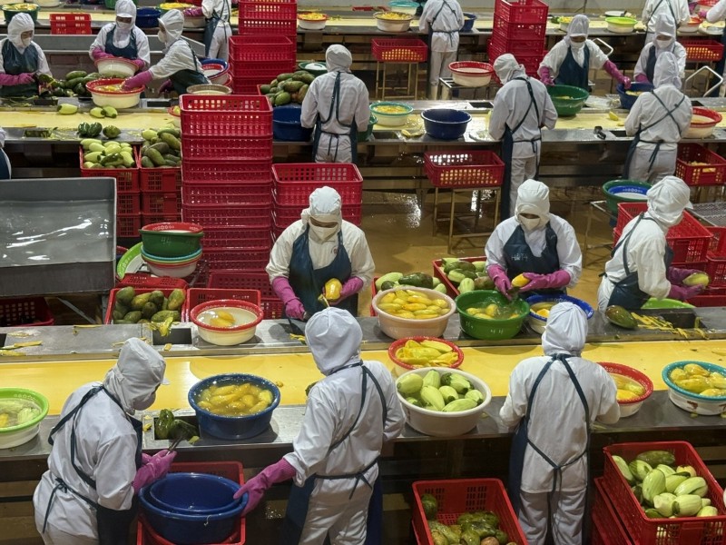 Vietnam's agro-forestry-fishery exports reach $35.9 billion in 1H