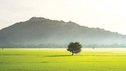 An effective climate-tech partner of Vietnam 