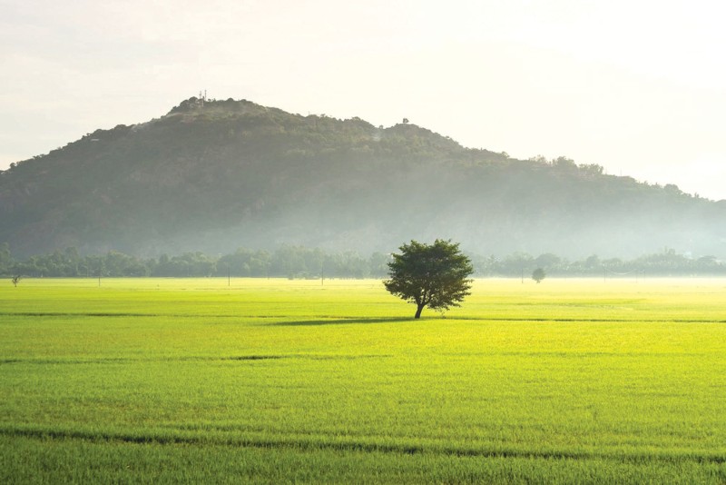 An effective climate-tech partner of Vietnam 