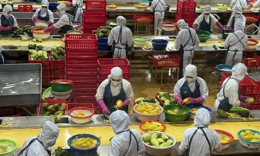 Xuất khẩu rau quả 6 tháng đầu năm 2026 tăng trưởng bứt phấ. Ảnh minh họa.