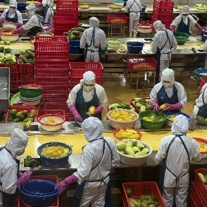 Xuất khẩu rau quả 6 tháng đầu năm 2026 tăng trưởng bứt phấ. Ảnh minh họa.