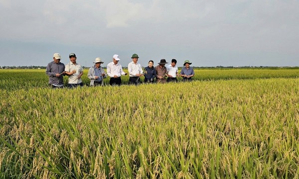 Nông nghiệp 6 tháng đầu năm 2026: Tăng trưởng vững chắc, nâng cao giá trị và hiệu quả