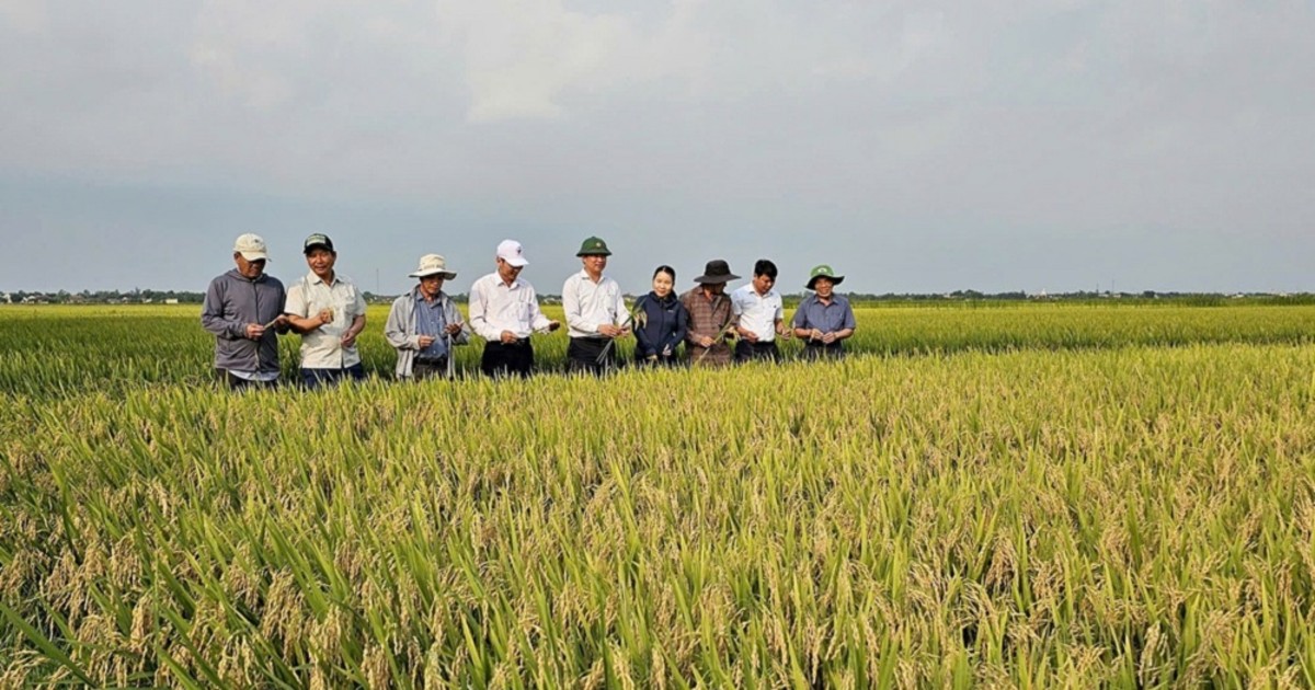 Nông nghiệp 6 tháng đầu năm 2026: Tăng trưởng vững chắc, nâng cao giá trị