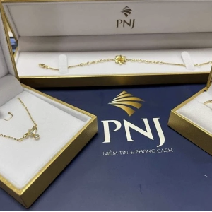 P-Lab hiện có vốn điều lệ 10 tỷ đồng do PNJ sở hữu 100%