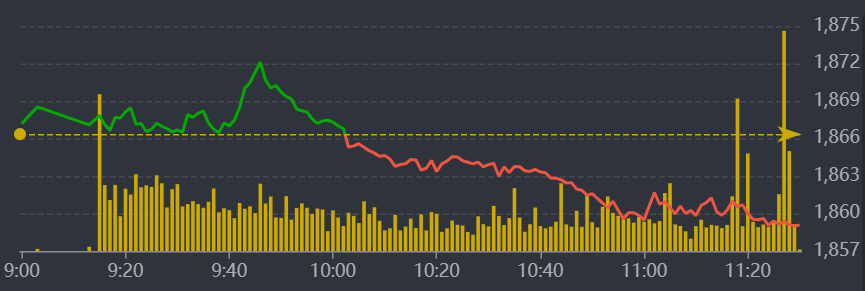 Diễn biến VN-Index sáng nay.