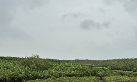 Thích ứng biến đổi khí hậu và quản lý nước là trụ cột hợp tác Việt Nam- Hà Lan