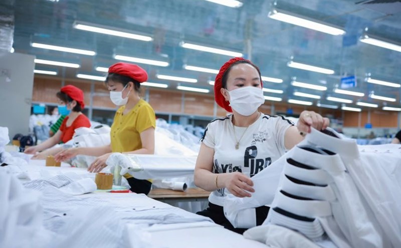 Người lao động được hỗ trợ lựa chọn công việc phù hợp với trình độ, kinh nghiệm và nhu cầu.