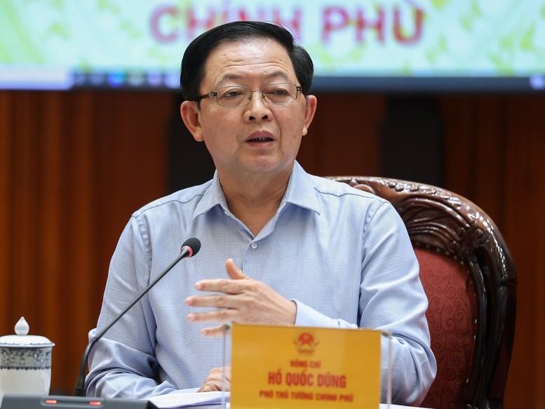 Phó Thủ tướng Hồ Quốc Dũng phát biểu - Ảnh: VGP