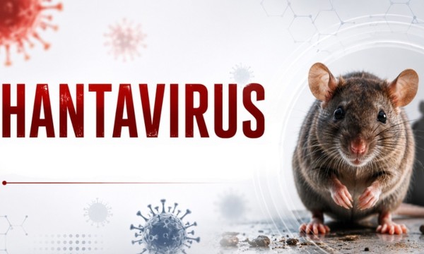 Bộ Y tế cập nhật thông tin mới về bệnh do virus Hanta