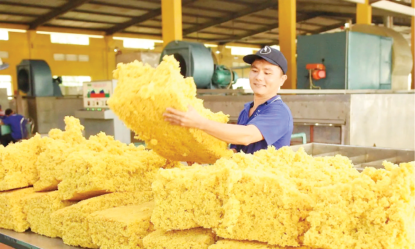 Ngành cao su chủ động thích ứng EUDR để nâng tầm giá trị