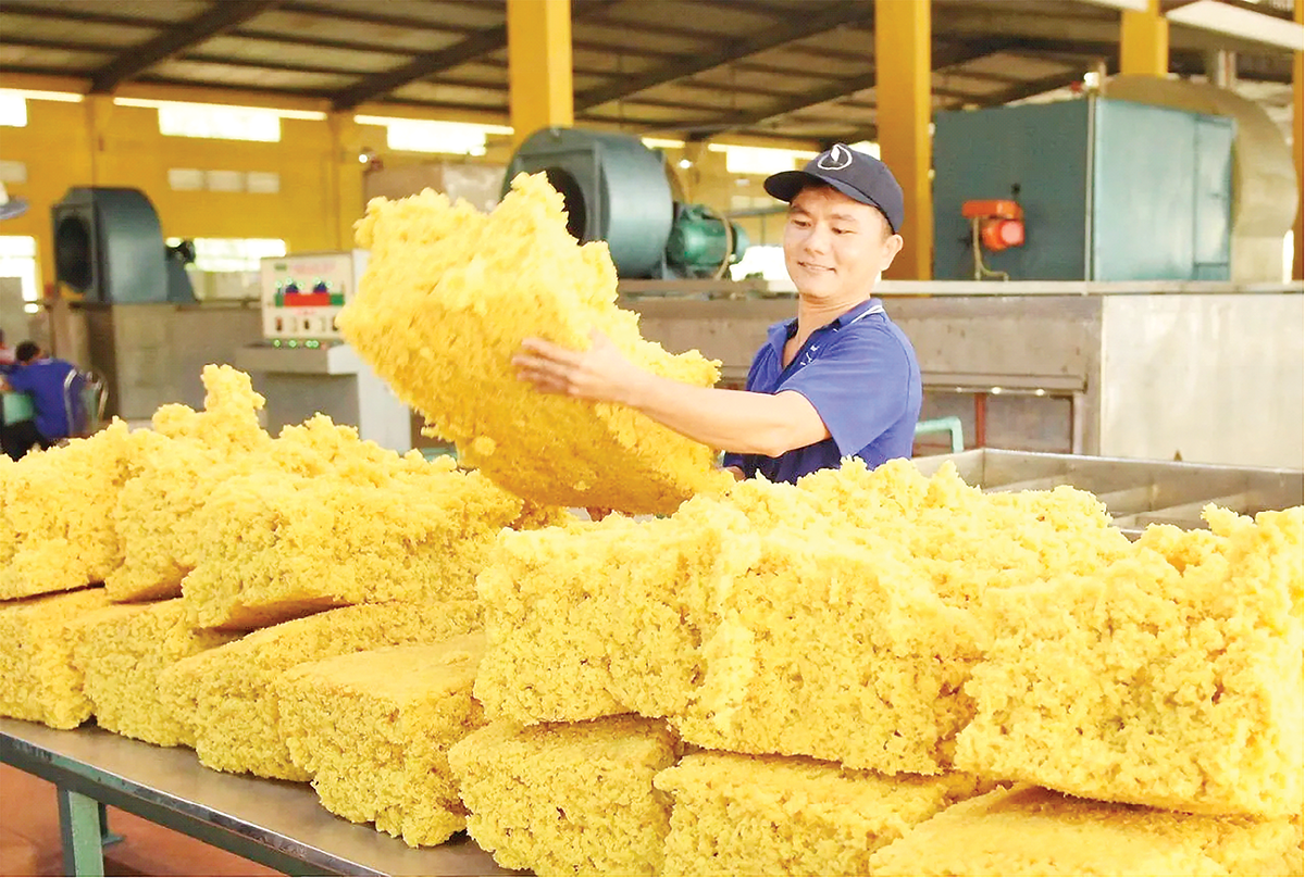 Ngành cao su chủ động thích ứng EUDR để nâng tầm giá trị